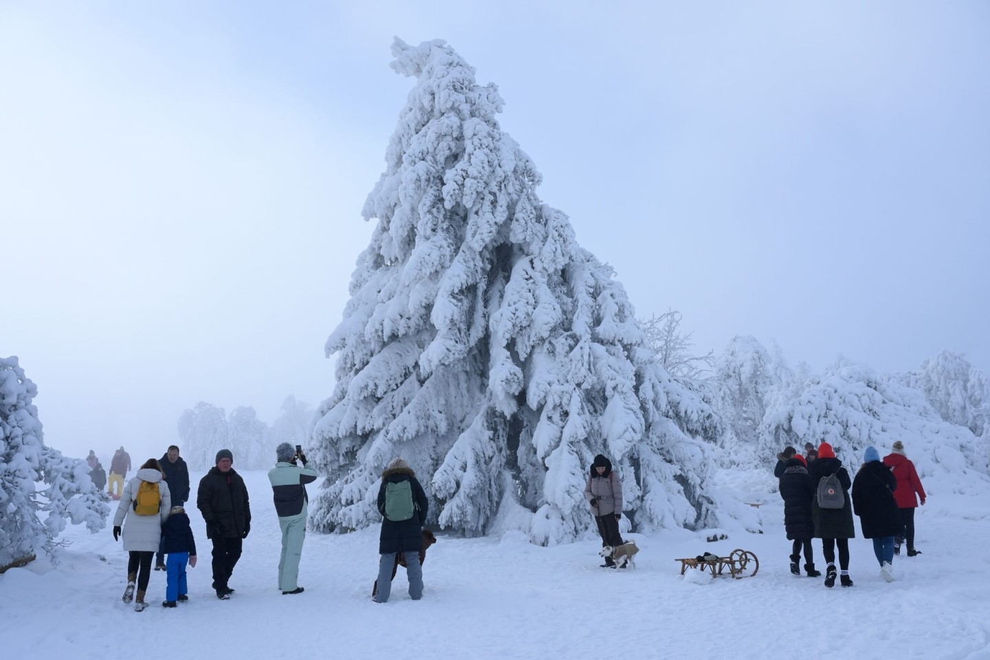 Spaziergänger sind bei Minustemperaturen in der Winterlandschaft auf dem Ettelsberg unterwegs.