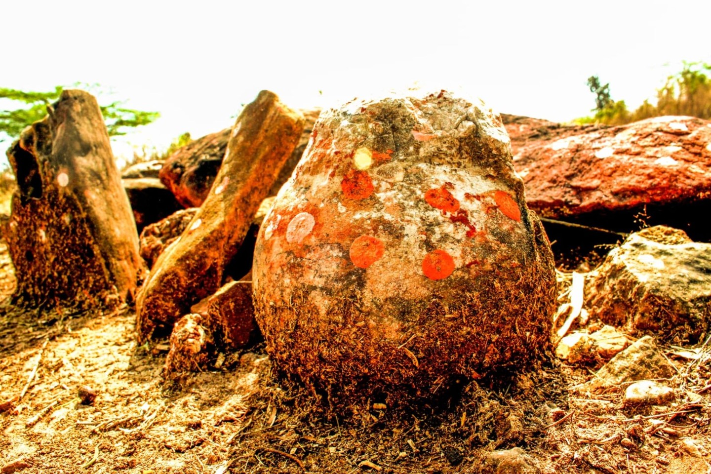 Diese als göttlich verehrte Steinkugel in Indien hat sich als Dino-Ei entpuppt.