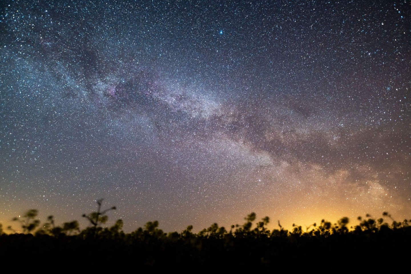 Der Sternenhimmel leuchtet über einem Rapsfeld. Laut Nasa könnte sich in den kommenden Monaten ein Himmelsspektakel ereignen - eine sogenannte Nova-Explosion.